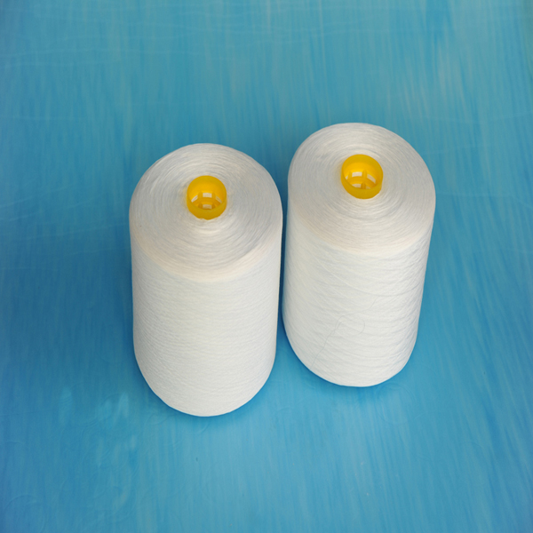 生白紡績用ポリエステルミシン糸袋をクリップ-縫い糸問屋・仕入れ・卸・卸売り