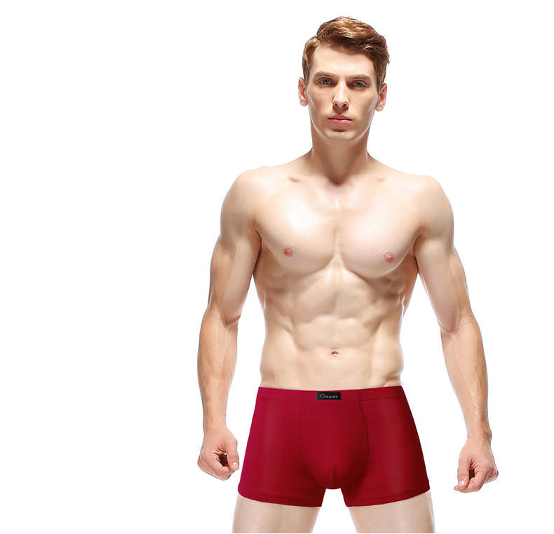 面白いボクサーショーツ薄手のパンティーブリーフシームレス男性ボクサー-プラスサイズ下着問屋・仕入れ・卸・卸売り