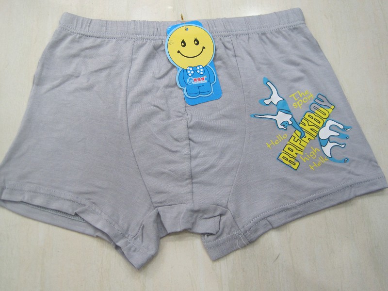 最新のデザインファッション熱い販売卸売下着ブリーフtumblrの十代の男の子-キッズ用下着問屋・仕入れ・卸・卸売り