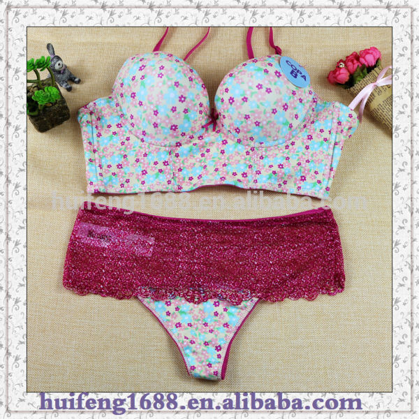 女性のランジェリーの下着2015ベストセラー卸し売りセクシーなブラ-プラスサイズ下着問屋・仕入れ・卸・卸売り