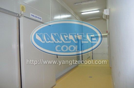 販売のためのクーラーの中を歩く冷蔵マレーシア、 長寿命を用いて中国製コールドルーム収納-冷凍室問屋・仕入れ・卸・卸売り