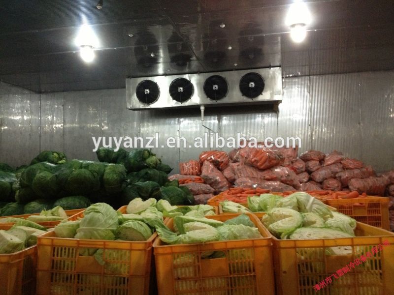 冷凍室/散歩で冷凍庫用食品-冷凍室問屋・仕入れ・卸・卸売り
