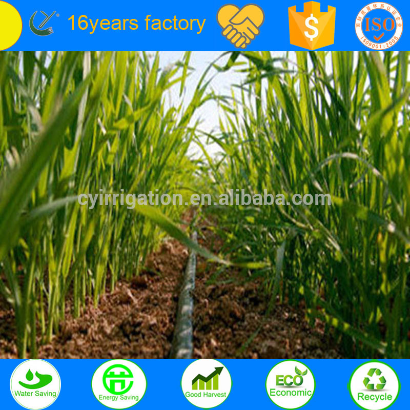 点滴灌漑ホース点滴灌漑システムのための-農業の機械類部品問屋・仕入れ・卸・卸売り