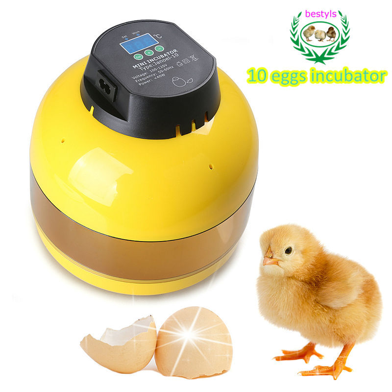 熱い販売の!!! ミニチキン卵インキュベーター卵hatchers7~10jn10中国のインキュベーター家禽インキュベーターマシン-孵卵器問屋・仕入れ・卸・卸売り