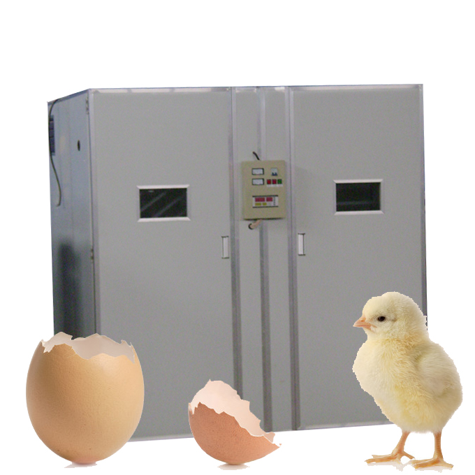 全自動卵孵化機家禽卵incubtor孵化設備とインキュベーター用孵化FRD-3168-孵卵器問屋・仕入れ・卸・卸売り