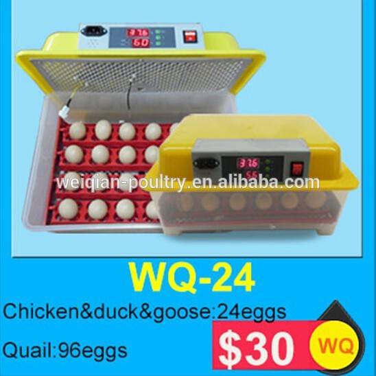 24卵インキュベーター、 wq-2424個の卵のためのミニインキュベーター-孵卵器問屋・仕入れ・卸・卸売り