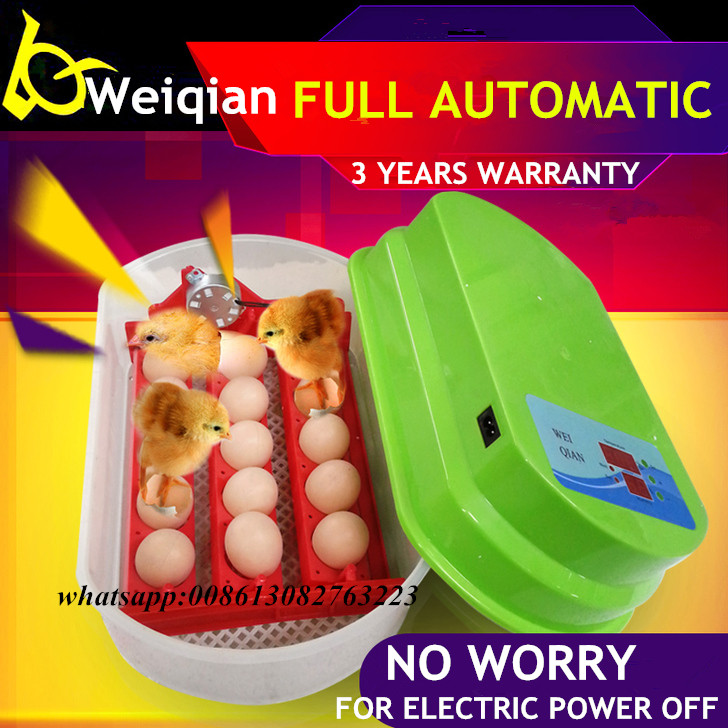 自動卵ターニング15卵インキュベーター/WQ-15鶏卵インキュベーター-孵卵器問屋・仕入れ・卸・卸売り