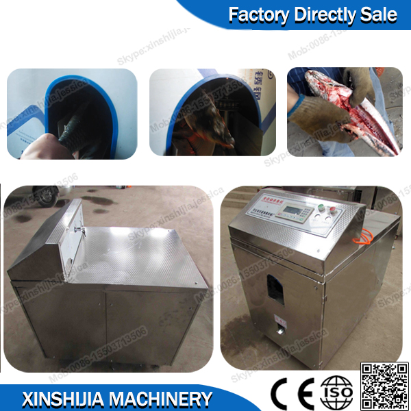 プロフェッショナル自動魚gutting機( 暴徒: 0086- 15503713506)-魚の処理機械問屋・仕入れ・卸・卸売り