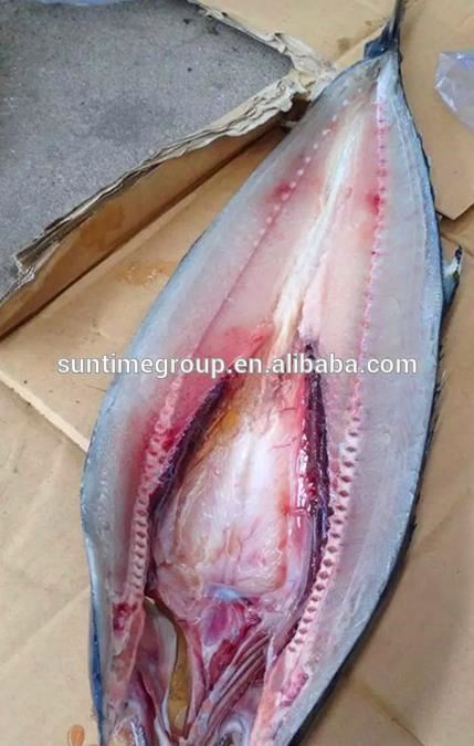 Ce承認された魚殺人マシン-魚の処理機械問屋・仕入れ・卸・卸売り