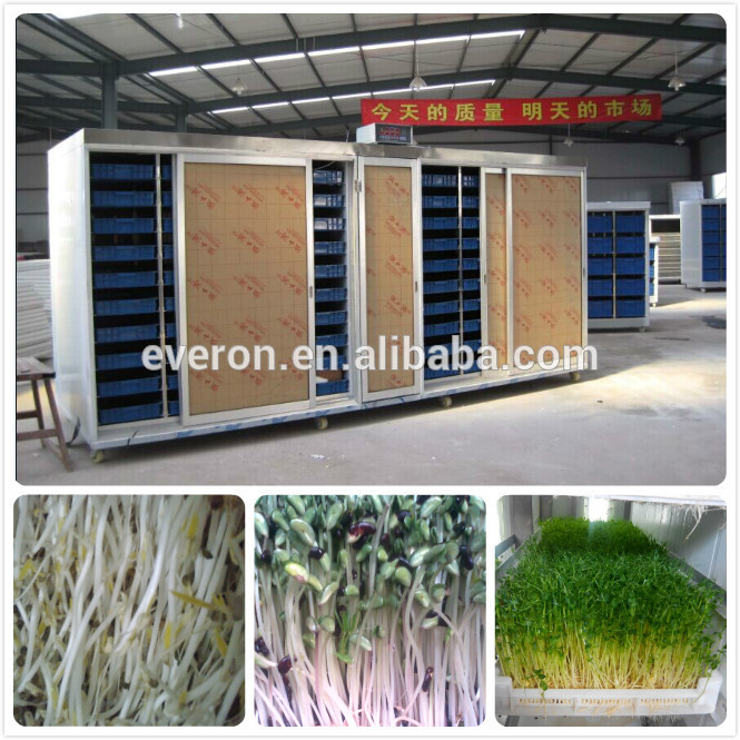500kg/dayムーティ- のfuctionの大麦がマシン自動、 大麦製造機、 成長しているマシンceと大麦/iso/sgs証明書-豆製品加工機械問屋・仕入れ・卸・卸売り