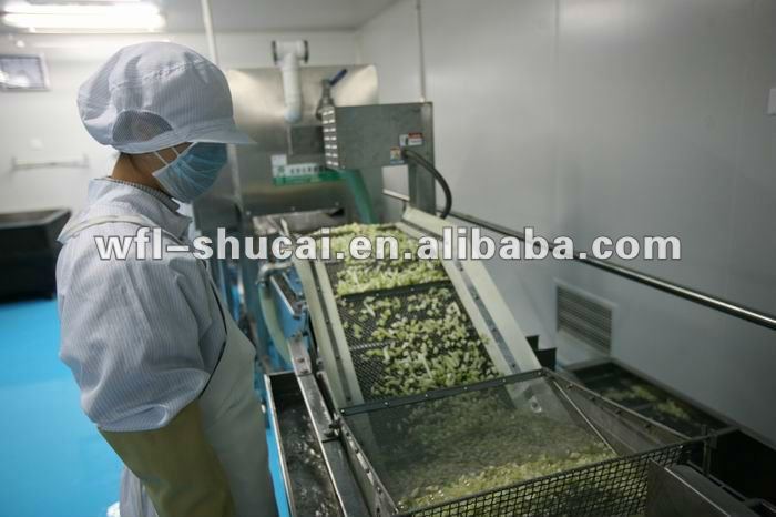 1-3/h iqf フルーツ &野菜加工ライン-フルーツ及び野菜処理機械問屋・仕入れ・卸・卸売り