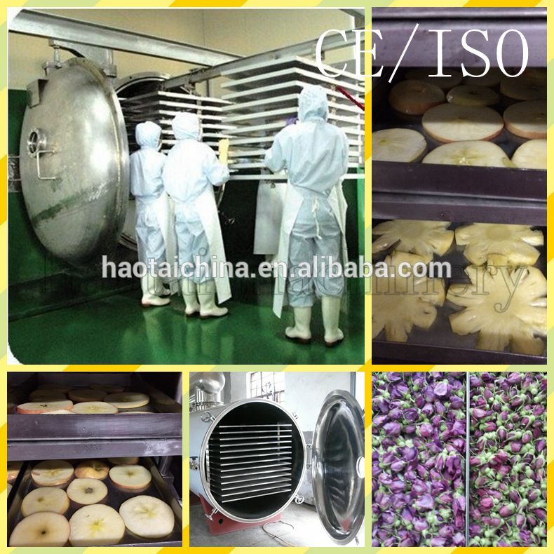 凍結乾燥機-フルーツ及び野菜処理機械問屋・仕入れ・卸・卸売り