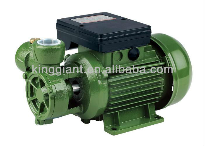 電気クリーン水ポンプDB-125A 0.16HP-コンクリートポンプ問屋・仕入れ・卸・卸売り
