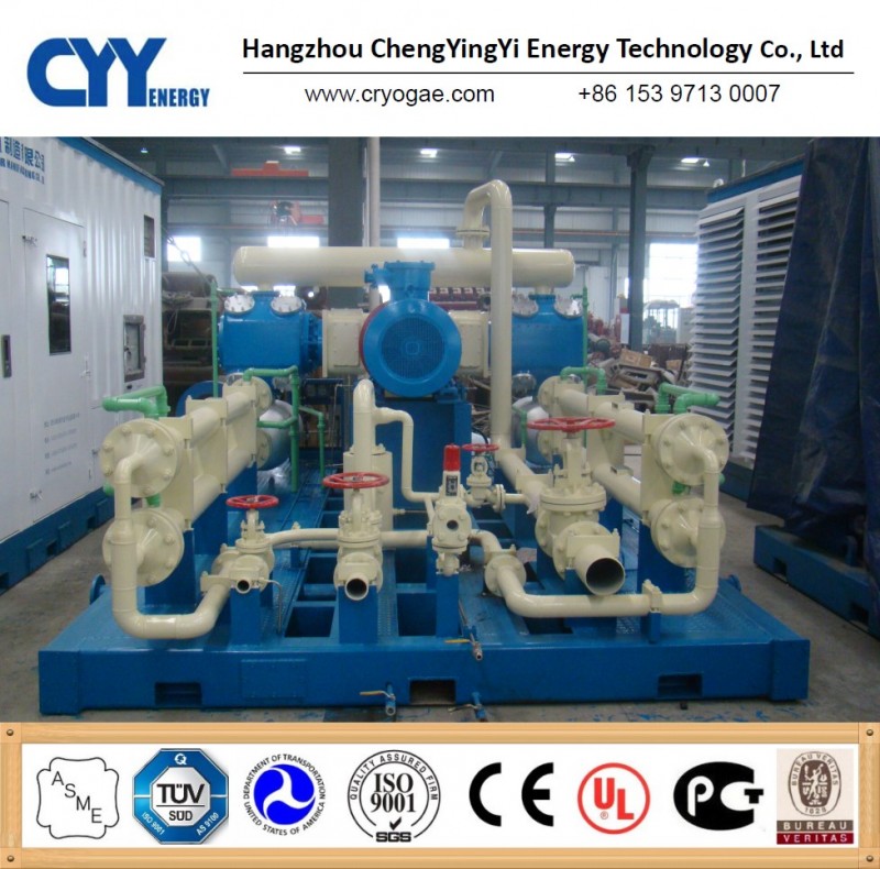 10000l/h液体供給容量L-CNG高圧ポンプスキッド-化学機械は分ける問屋・仕入れ・卸・卸売り
