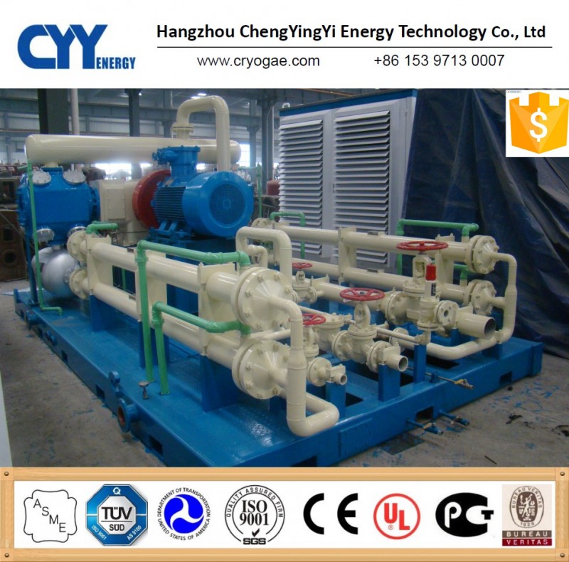 産業L-CNGスキッドステーション用液化天然ガス充填-化学機械は分ける問屋・仕入れ・卸・卸売り