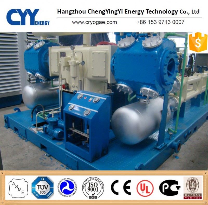 Cyyエネルギーブランドスキッドの取付けlng/L-CNG/cng充填ステーション-化学機械は分ける問屋・仕入れ・卸・卸売り